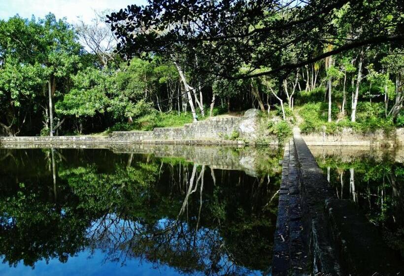 ホテル Silvestre Praia