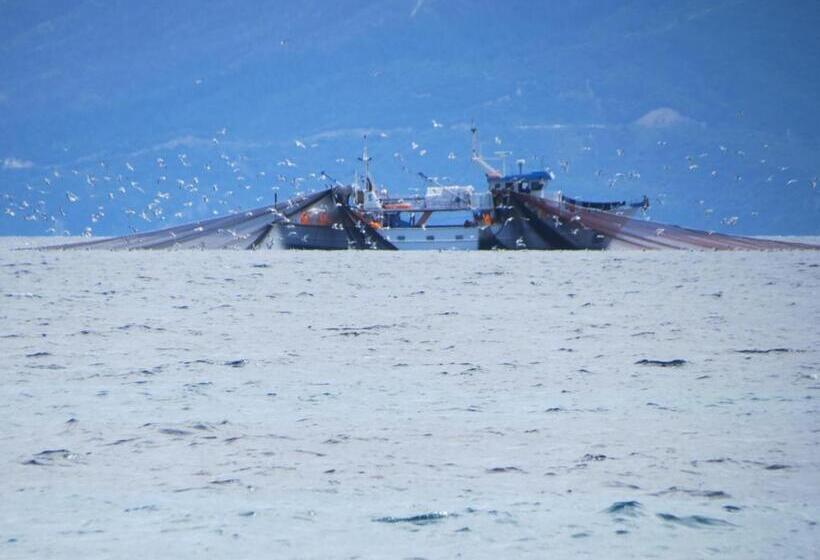 ペンション Athos Guest House Pansion