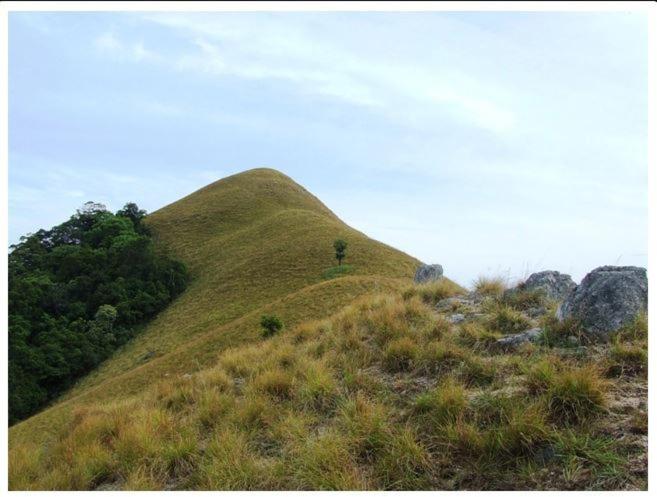 ペンション Ella Okreech Cottages