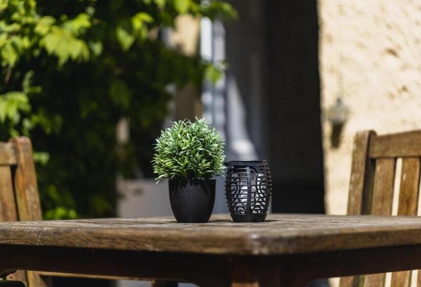 فندق صغير Alston House