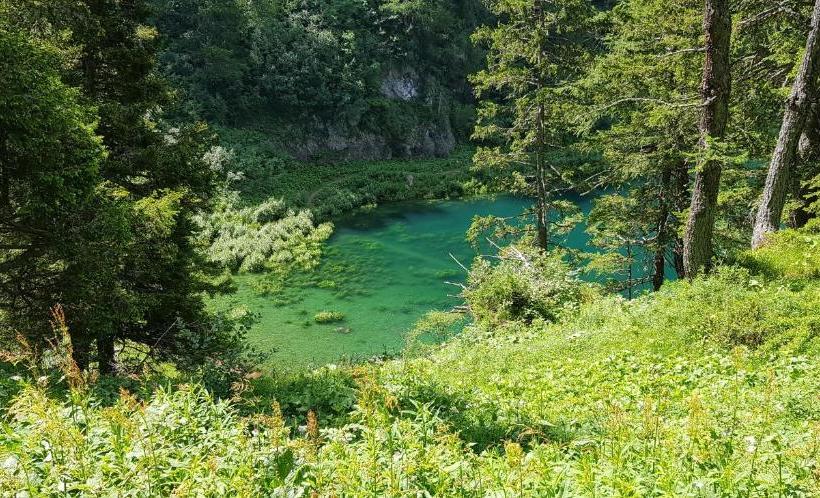 旅馆 Des Alpes   Restaurant & Pizzeria