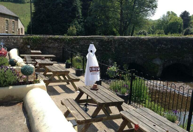 Общежитие The Copley Arms