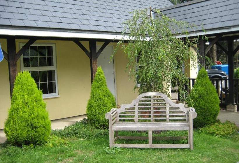 הוסטל The Lord Byron Inn