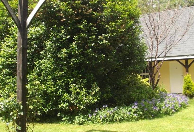 הוסטל The Lord Byron Inn