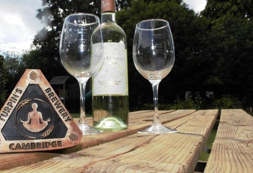 ユースホステル The Lord Byron Inn