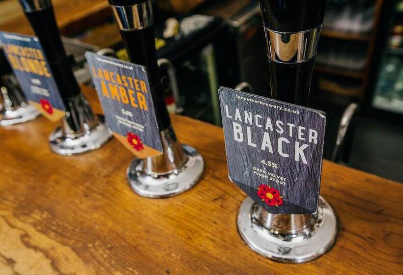 ユースホステル The Sun Hotel & Bar