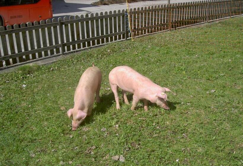 Apparthotel Ederfeld