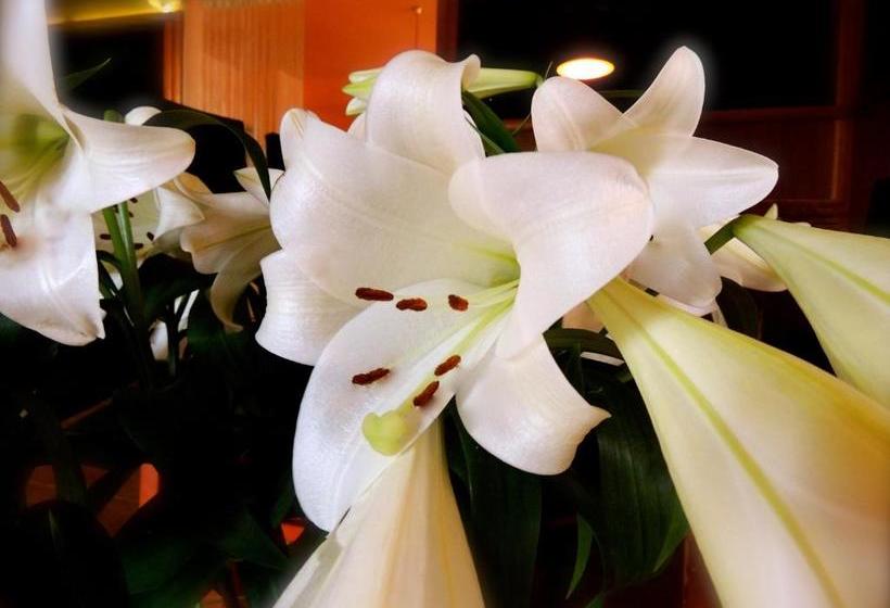 Zu Den Linden   Radebeul Pension Mit Restaurant