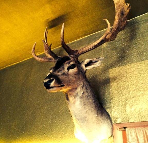 Zu Den Linden   Radebeul Pension Mit Restaurant