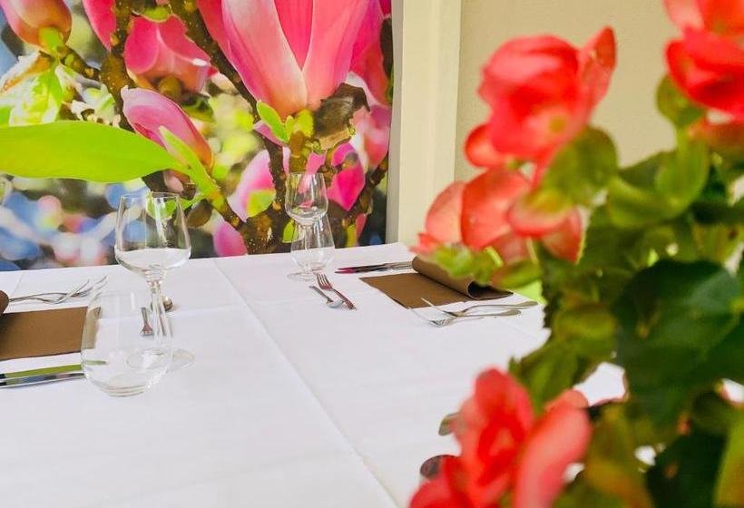 Zu Den Linden   Radebeul Pension Mit Restaurant