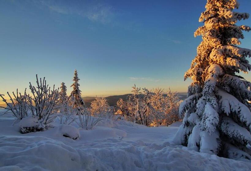 Gasthof Pension Waldfrieden