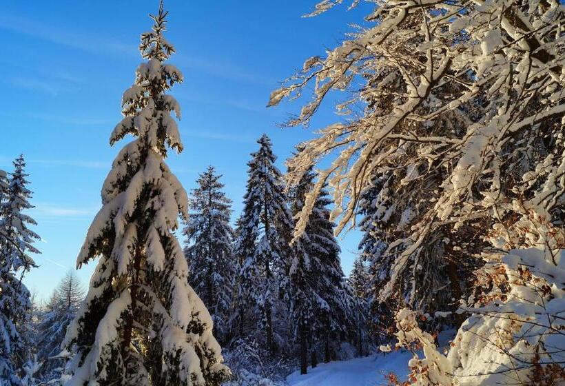 Gasthof Pension Waldfrieden