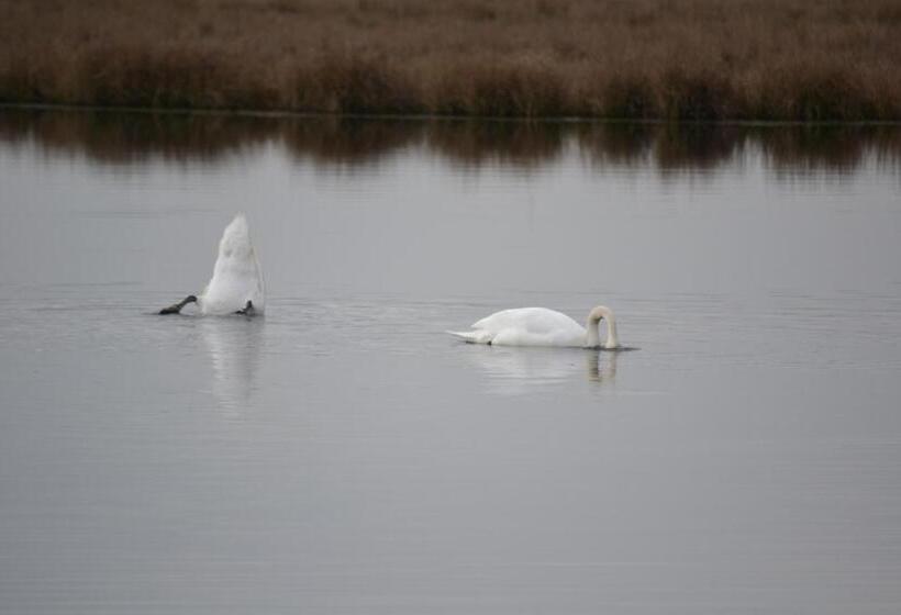 هتل Auberge De Moerse Hoeve