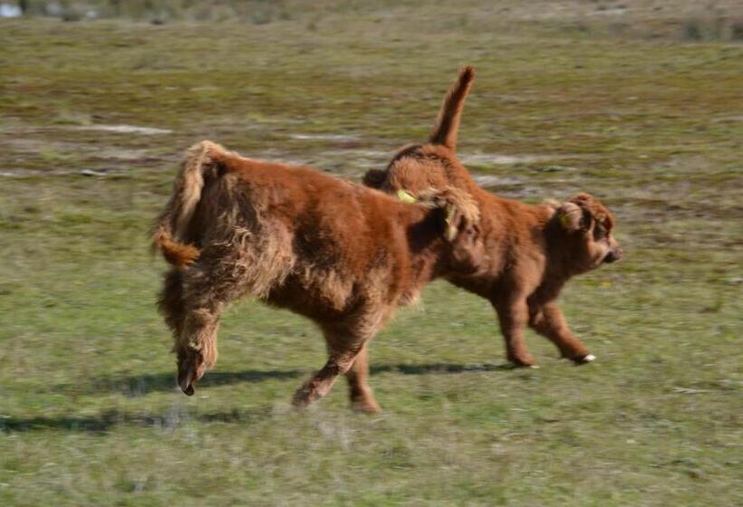 هتل Auberge De Moerse Hoeve