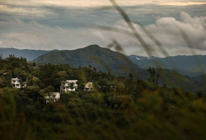 Отель Hills & Hues