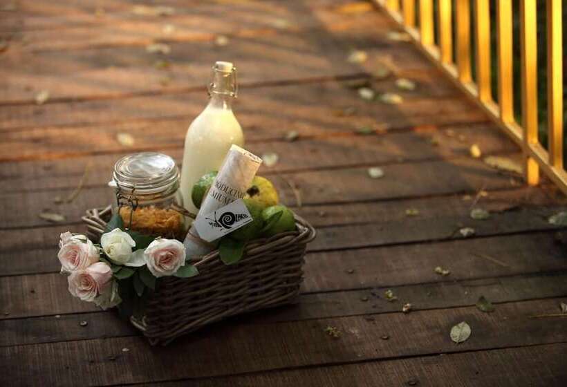 Отель Hills & Hues