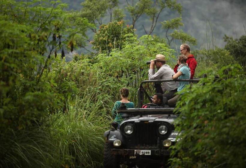 Отель Hills & Hues