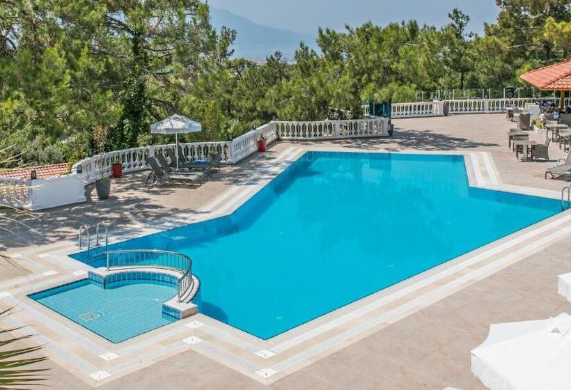 בית מלון כפרי Pine Club Apart