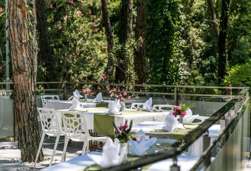 בית מלון כפרי Pine Club Apart