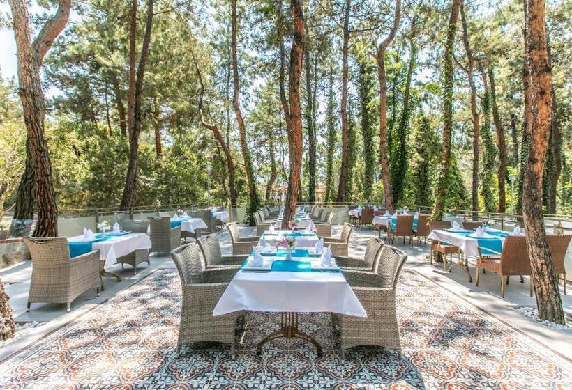 בית מלון כפרי Pine Club Apart