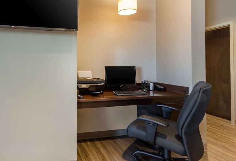 בית מלון כפרי Sleep Inn & Suites Tampa South