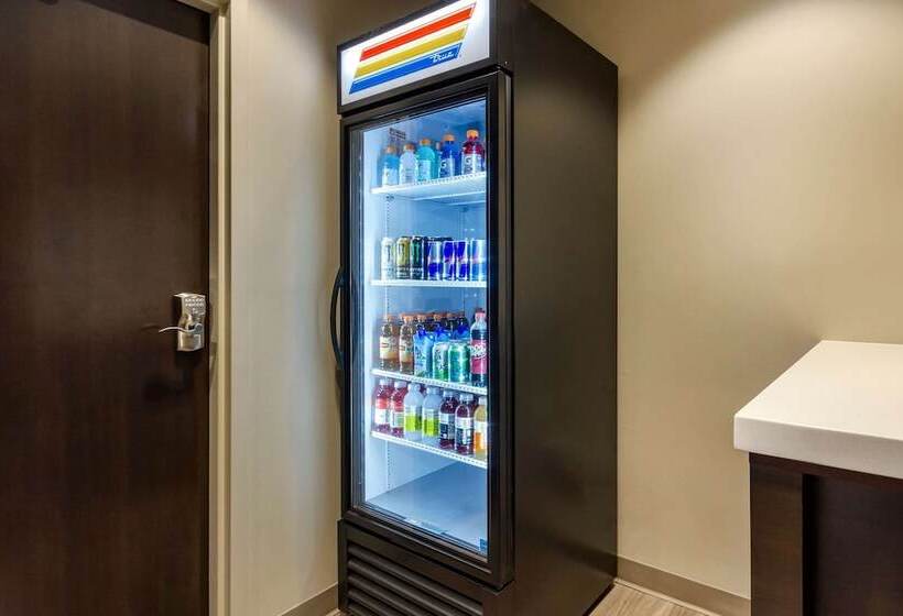 בית מלון כפרי Sleep Inn & Suites Tampa South