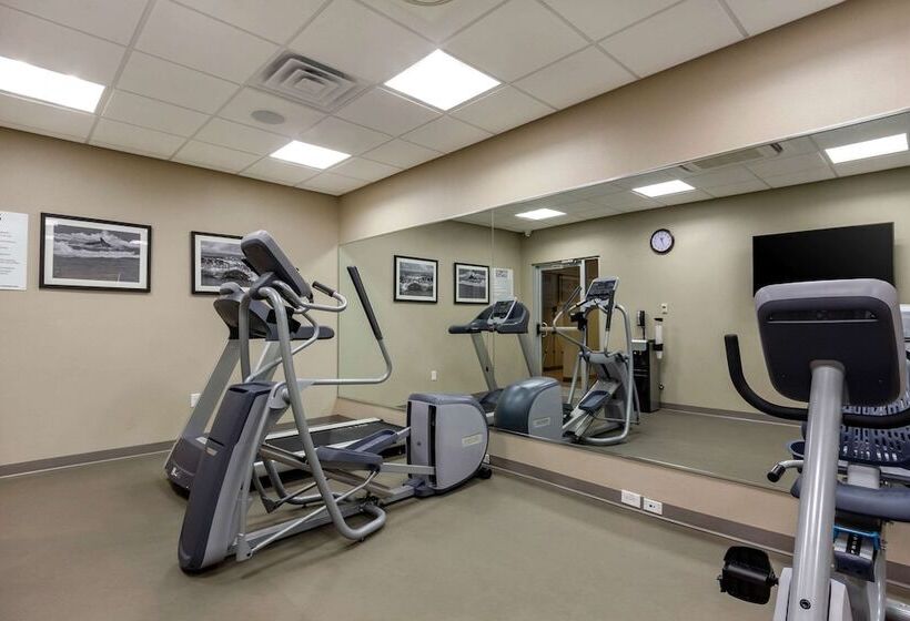 בית מלון כפרי Sleep Inn & Suites Tampa South