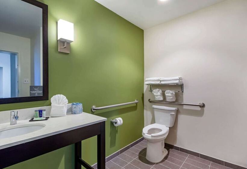 בית מלון כפרי Sleep Inn & Suites Tampa South