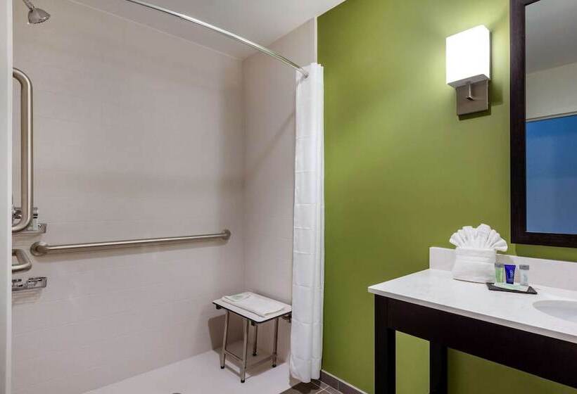 בית מלון כפרי Sleep Inn & Suites Tampa South