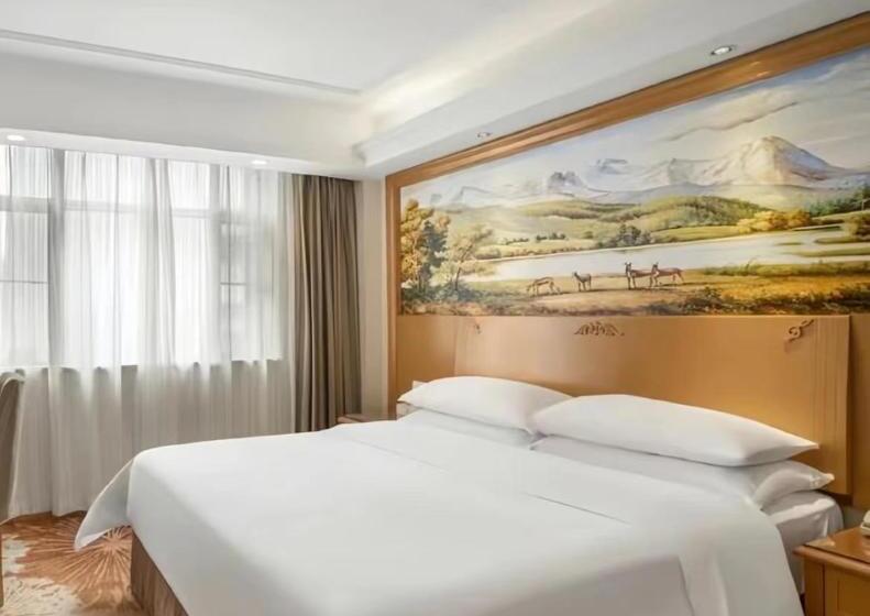 ホテル Vienna  Shenzhen Honghu Branch