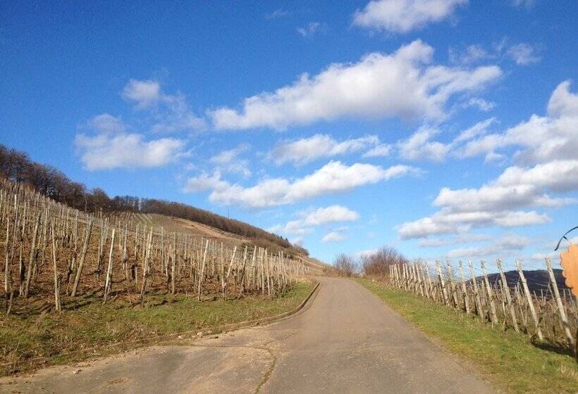 Отель Weingut Dehren
