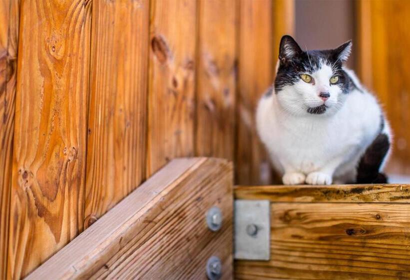 Madame Vacances Residence Les Chalets Du Berger