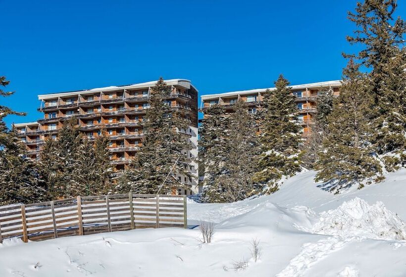 Noemys L Ecrin Des Neiges