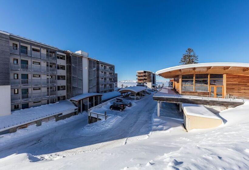 Noemys L Ecrin Des Neiges