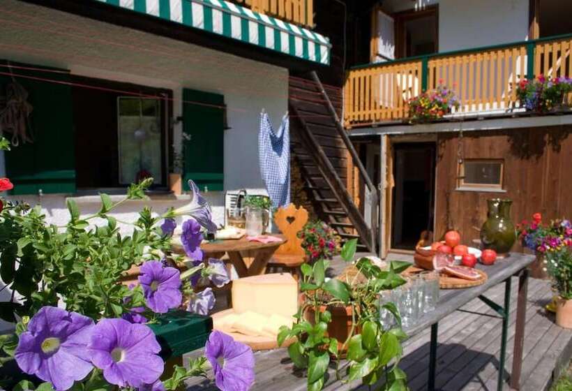 Пансион Almhütte & Skihütte Kohlerhaus