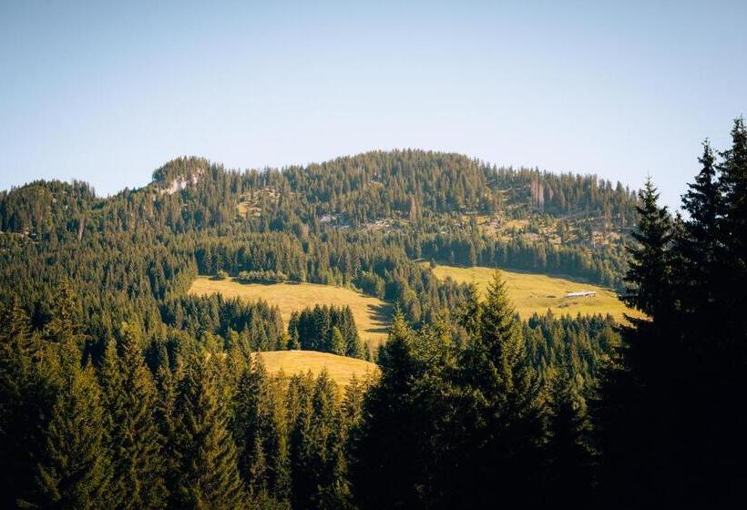 ペンション Alpengasthof Hörnlepass