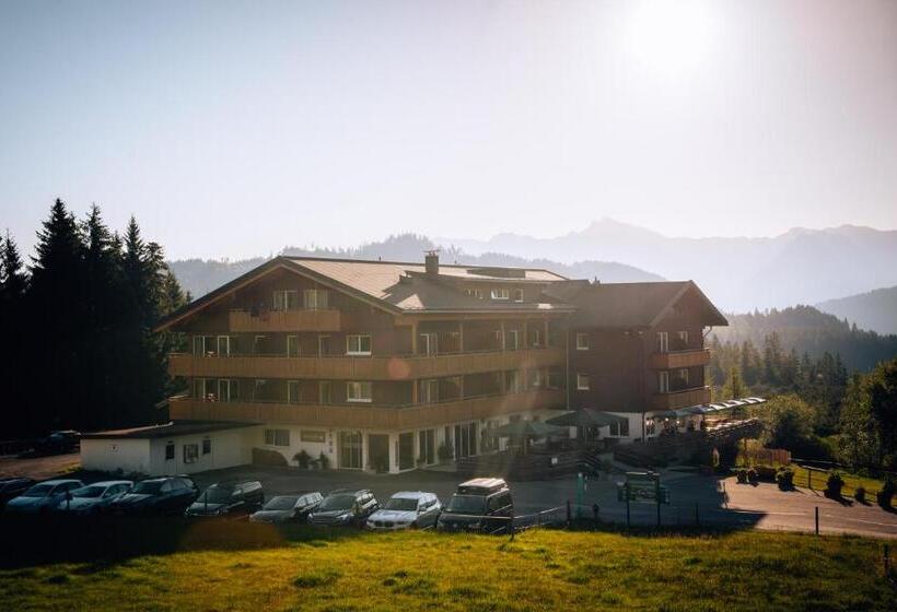 ペンション Alpengasthof Hörnlepass