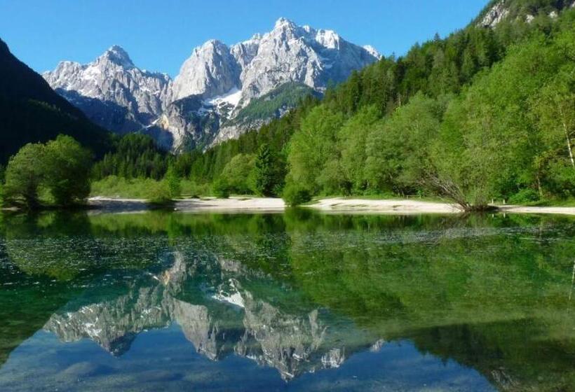 پانسیون Apartments And Rooms Tavcar