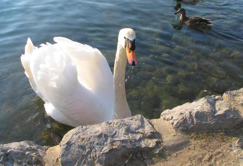 پانسیون Apartments And Rooms Tavcar