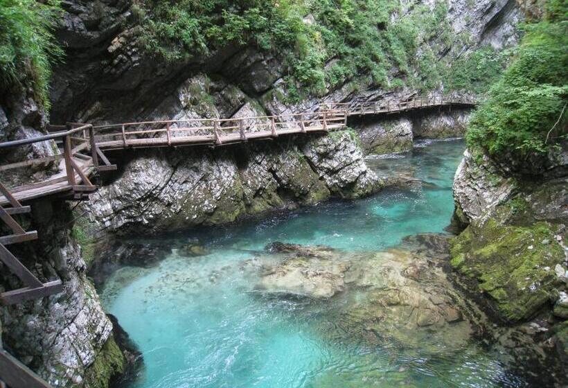 پانسیون Apartments And Rooms Tavcar