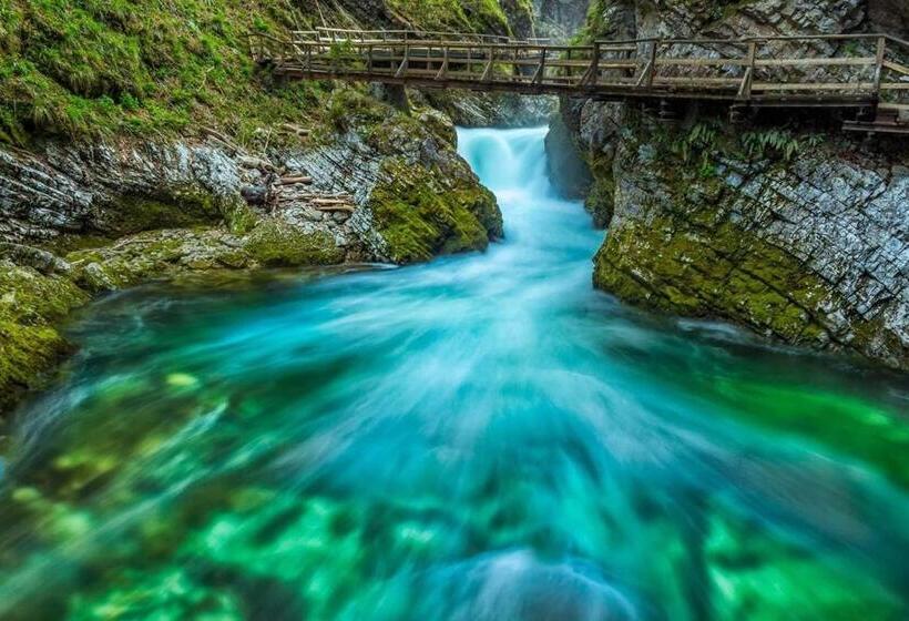 پانسیون Apartments And Rooms Tavcar