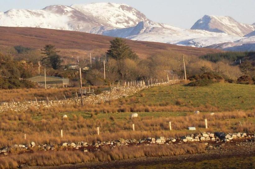 펜션 Arch Guesthouse