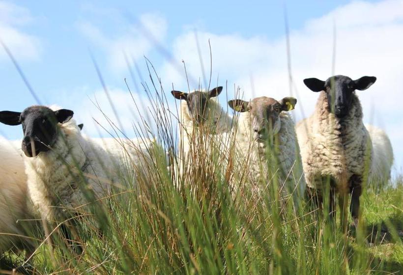 بنسيون Ard Na Breatha Guesthouse