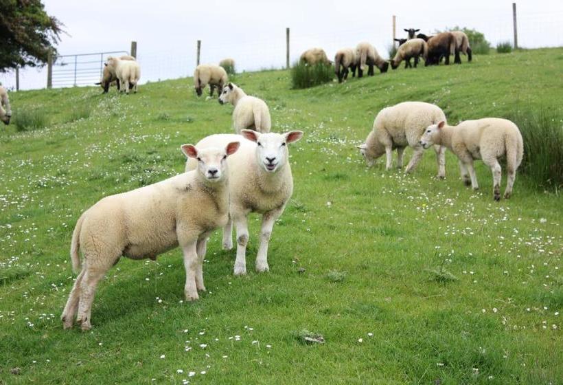 بنسيون Ard Na Breatha Guesthouse