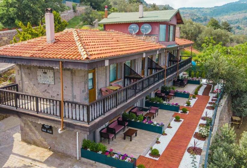 פנסיון Assos Kartal Yuvasi