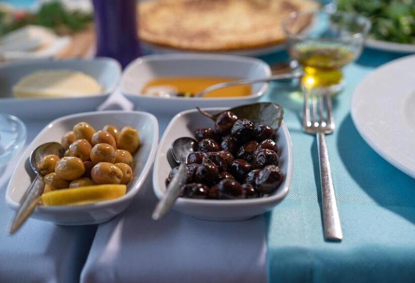 פנסיון Assos Kartal Yuvasi