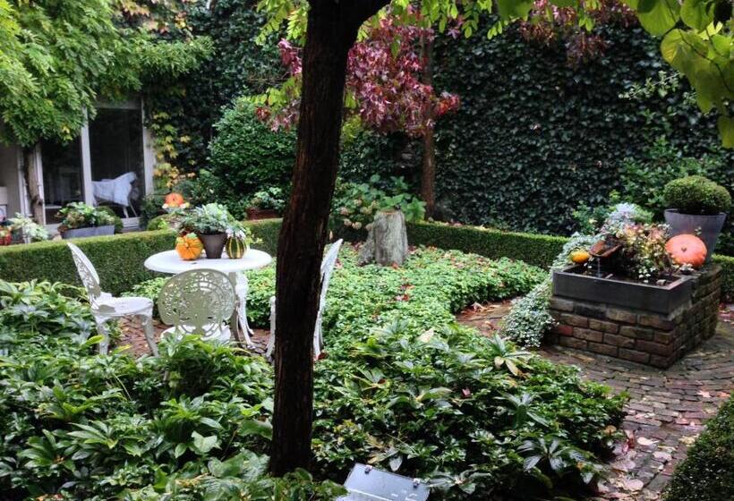 بنسيون B&b Number 11 Exclusive Guesthouse