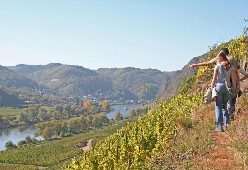 بنسيون Beim Schneemann