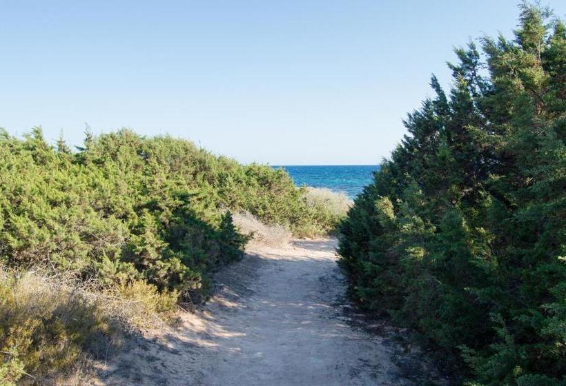 پانسیون Es Pi 2