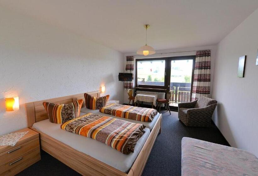 بنسيون Garni Siebenstern